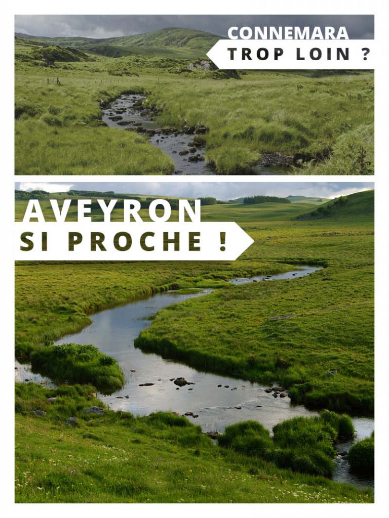 Aubrac en Aveyron